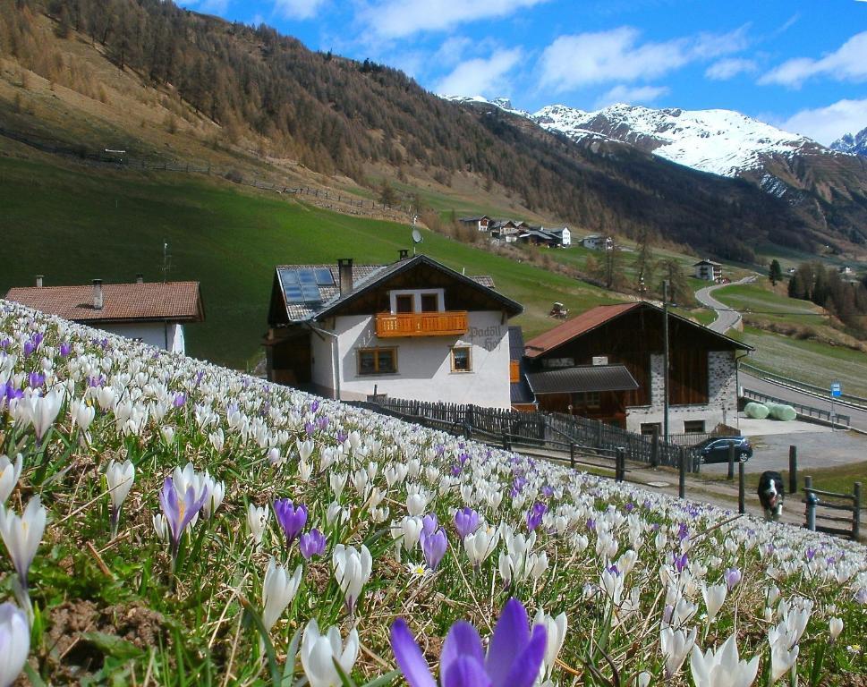 Padoellhof Vila Curon Venosta Exterior foto